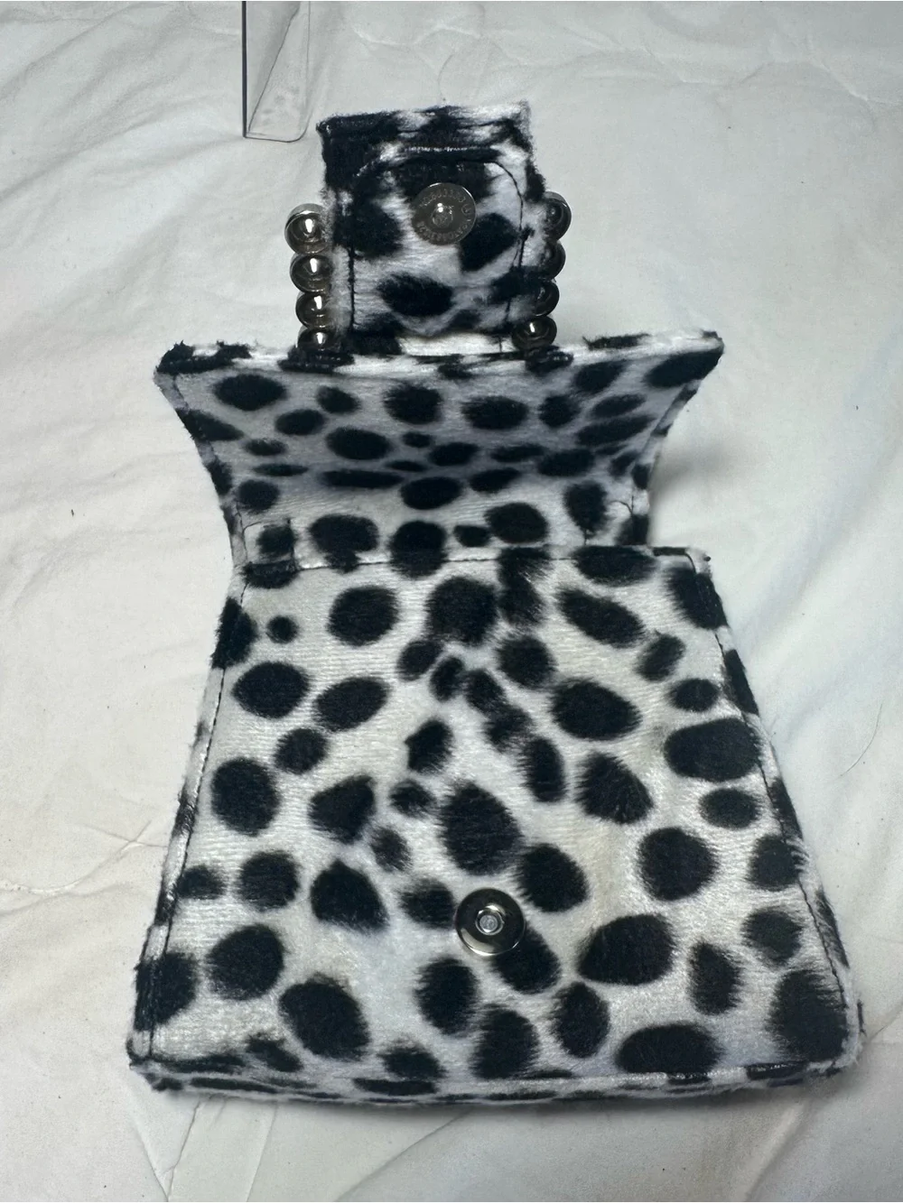 Sugar Thrillz playful dalmatian